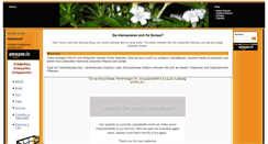 Desktop Screenshot of bonsai-forum-vittinghoff.ohsenbruegge.profiservice.ws